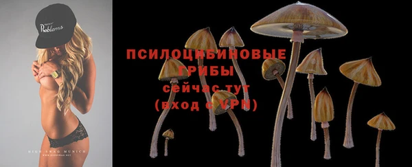 мдпв Баксан