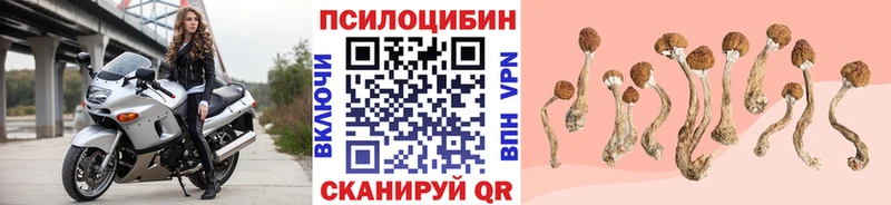 Псилоцибиновые грибы Psilocybine cubensis  blacksprut рабочий сайт  Ленск  где можно купить  